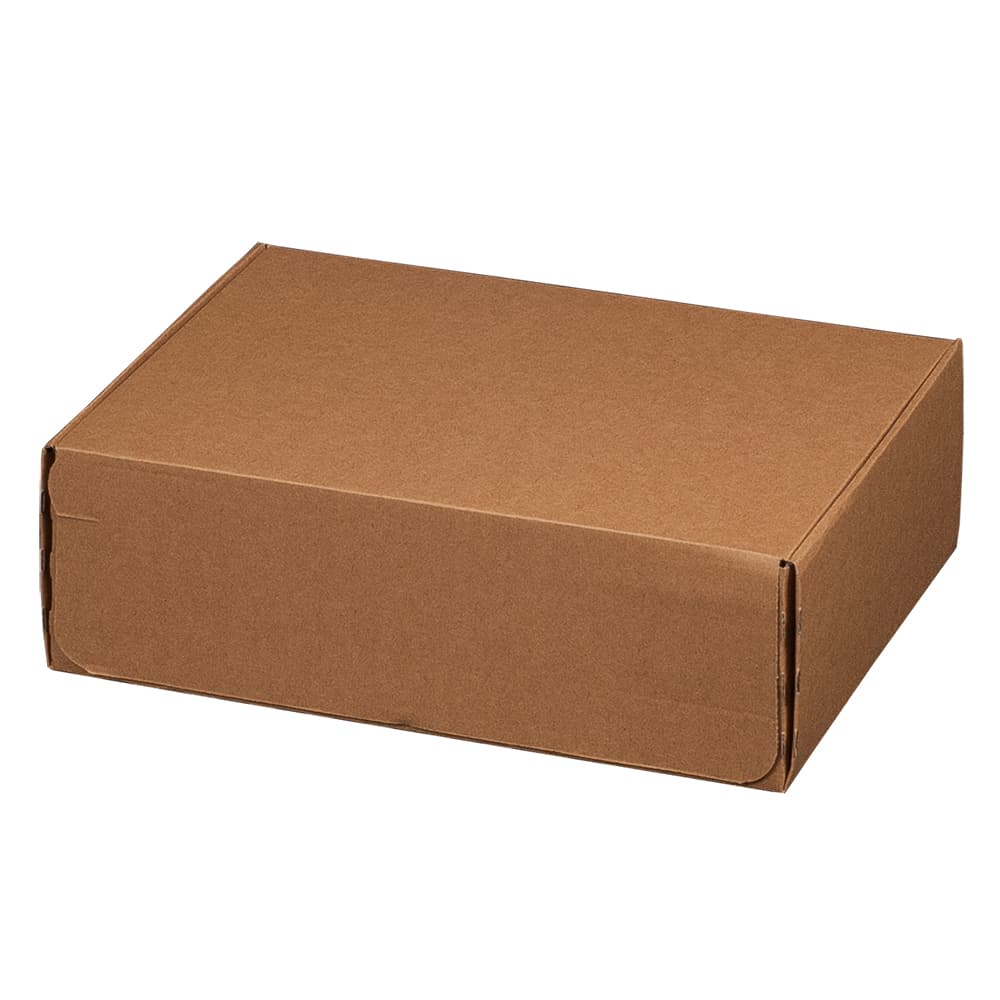 Modulbox 1-wellig braun · 305 × 210 × 91 mm
